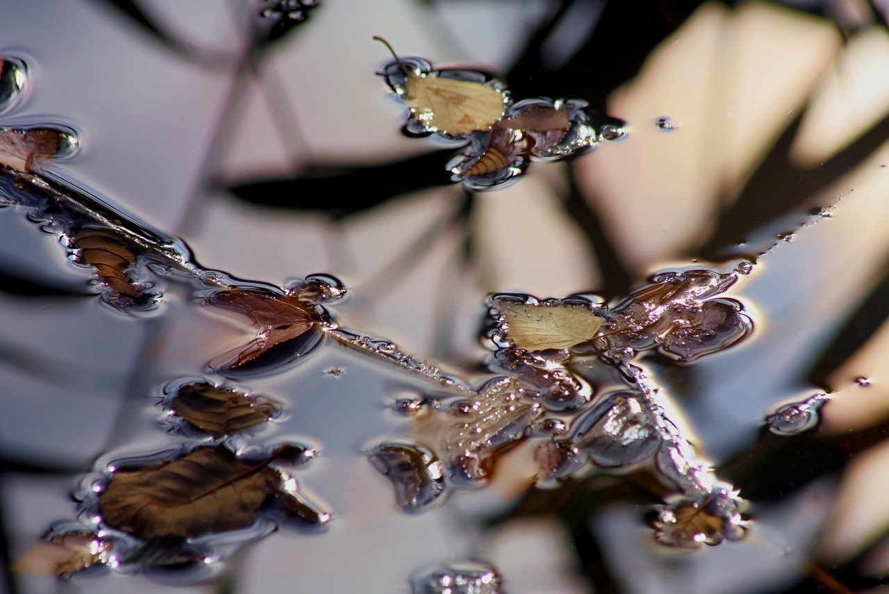 découvrez l'art de la réflexion : plongez dans un voyage intérieur enrichissant, explorez vos pensées et émotions, et apprenez à mieux comprendre votre monde et vous-même.